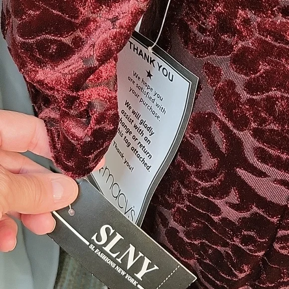 SLNY Deep Red Velvet Dress - Picture 7 of 7